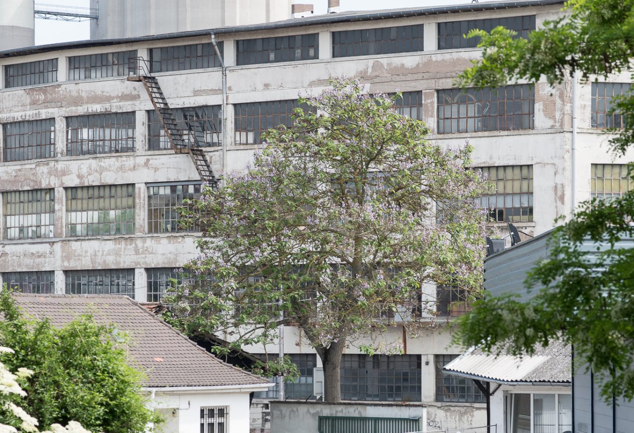 View over the Coop and the La Sérigraphie building © David Betzinger