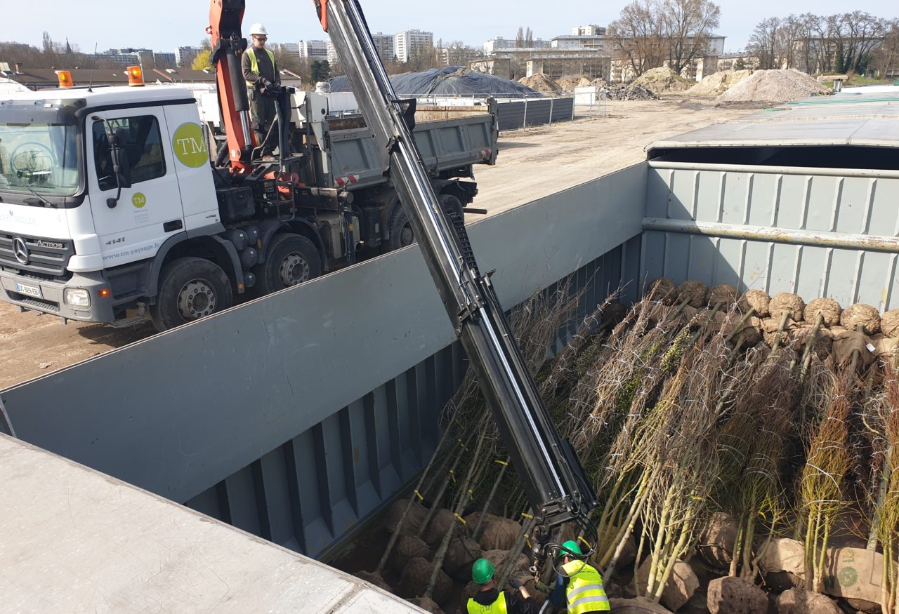 Préparation au déchargement d'un arbre © SPL Deux-Rives