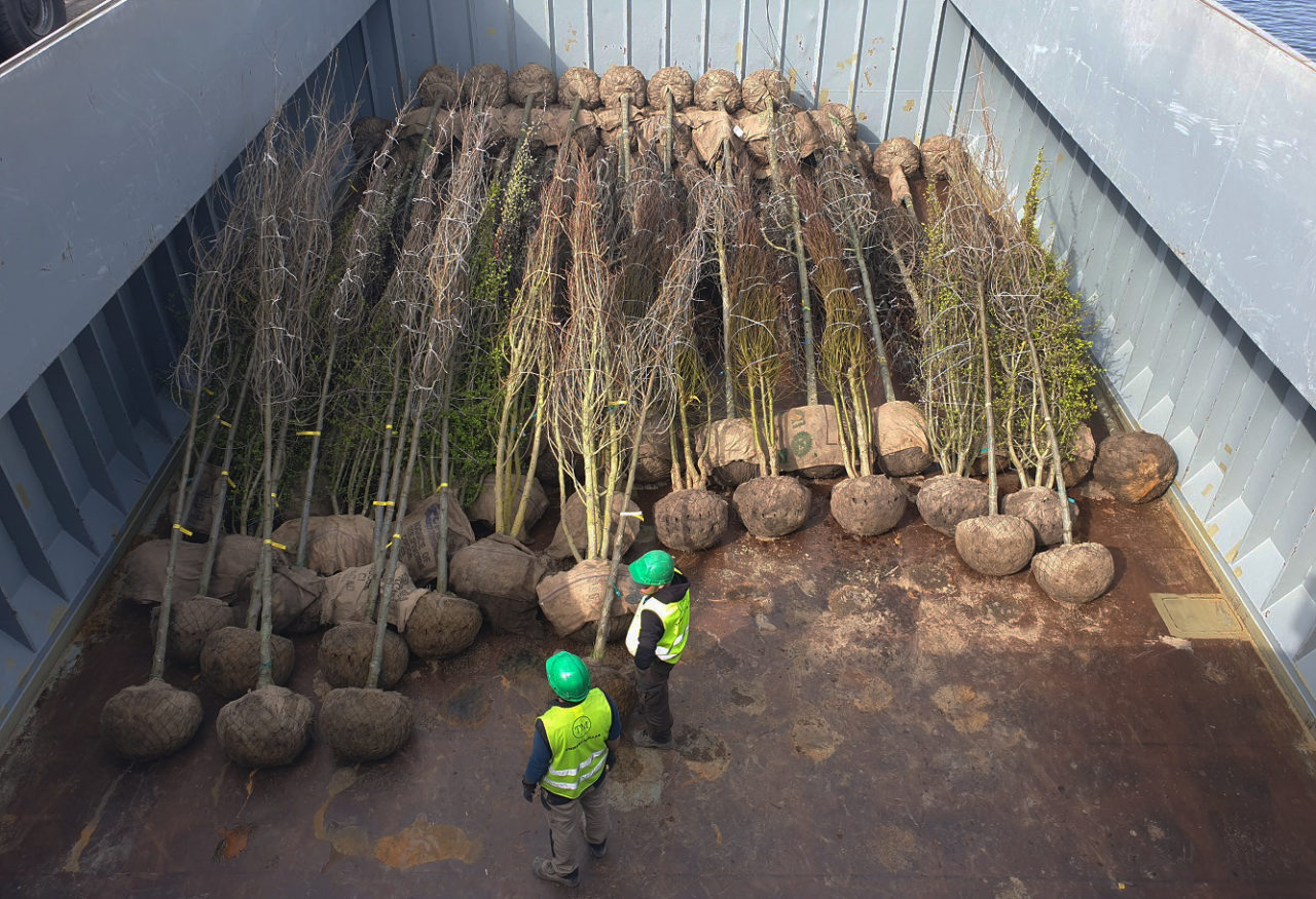 La cale de la péniche où ont voyagé les arbres © SPL Deux-Rives