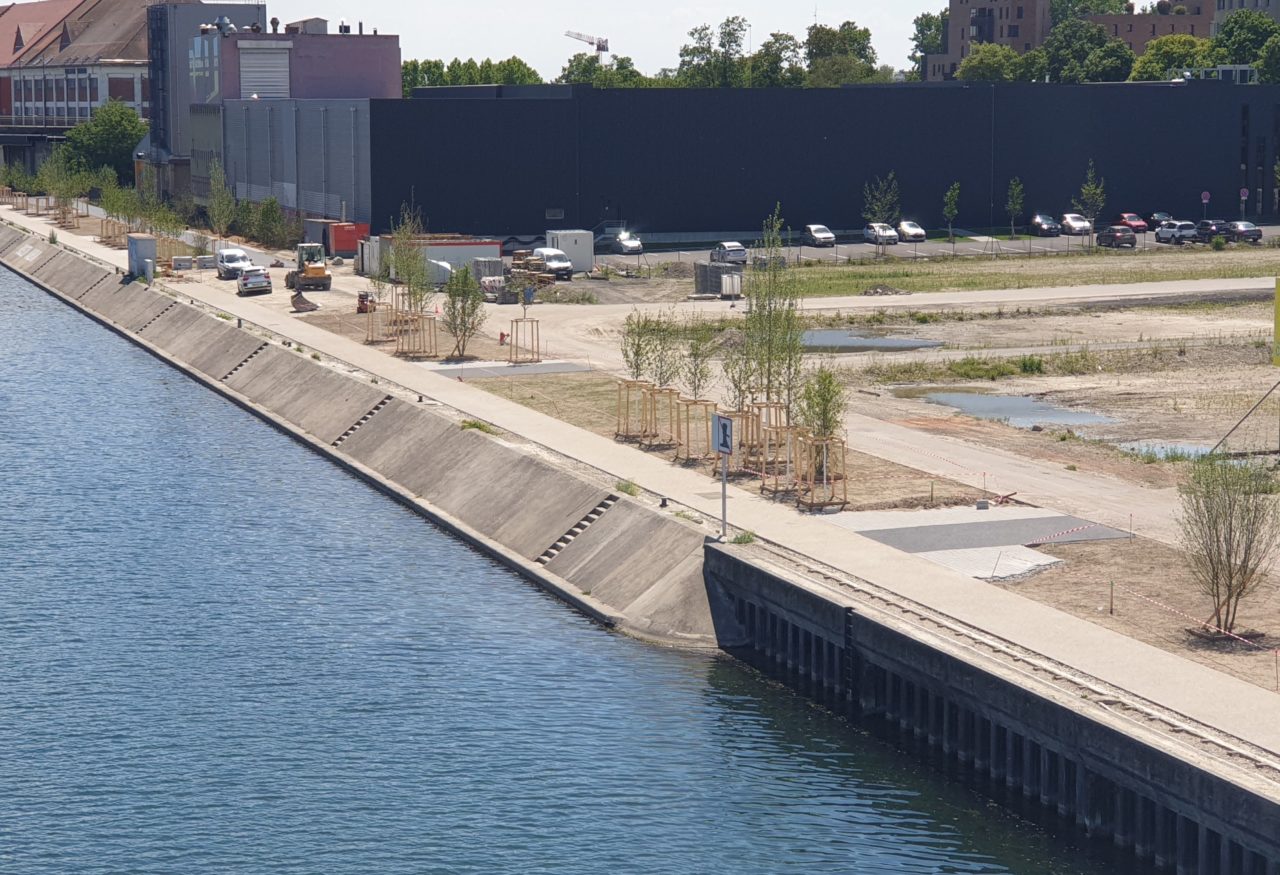 La Promenade des Quais du quartier Citadelle. Les arbres sont plantés avant la construction des bâtiments. © SPL Deux-Rives