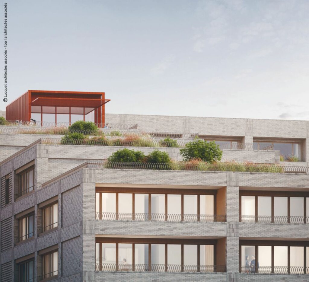 Les terrasses partagées et végétalisées de Starcoop 2 (Crédits : TOA + Lucquet Architectes)