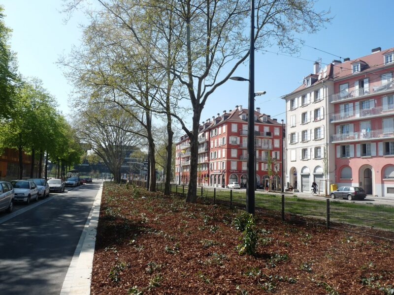 Image Cité Loucheur et de la ligne de tram. Crédits : wijk bij de Rijn (Wikicommons)