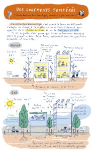 Des logements tempérés, comment ça marche l'architecture bioclimatique ? illustration d'Ariane Pinnel, transcription en cours