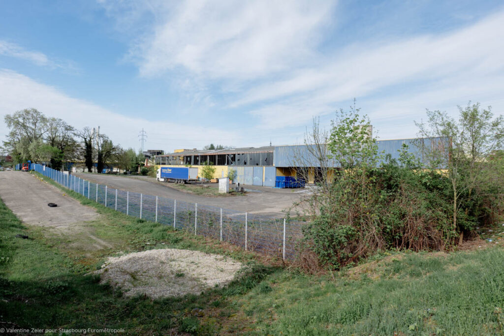 La démolition de l'entrepôt situé sur l'emprise du futur parc du Petit Rhin démarrera en mai 2024. (Crédits : Valentine Zeler pour Strasbourg Eurométropole)
