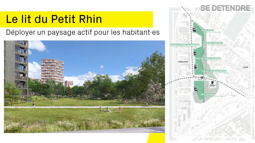 Le lit du Petit Rhin : Déployer un paysage actif pour les habitants