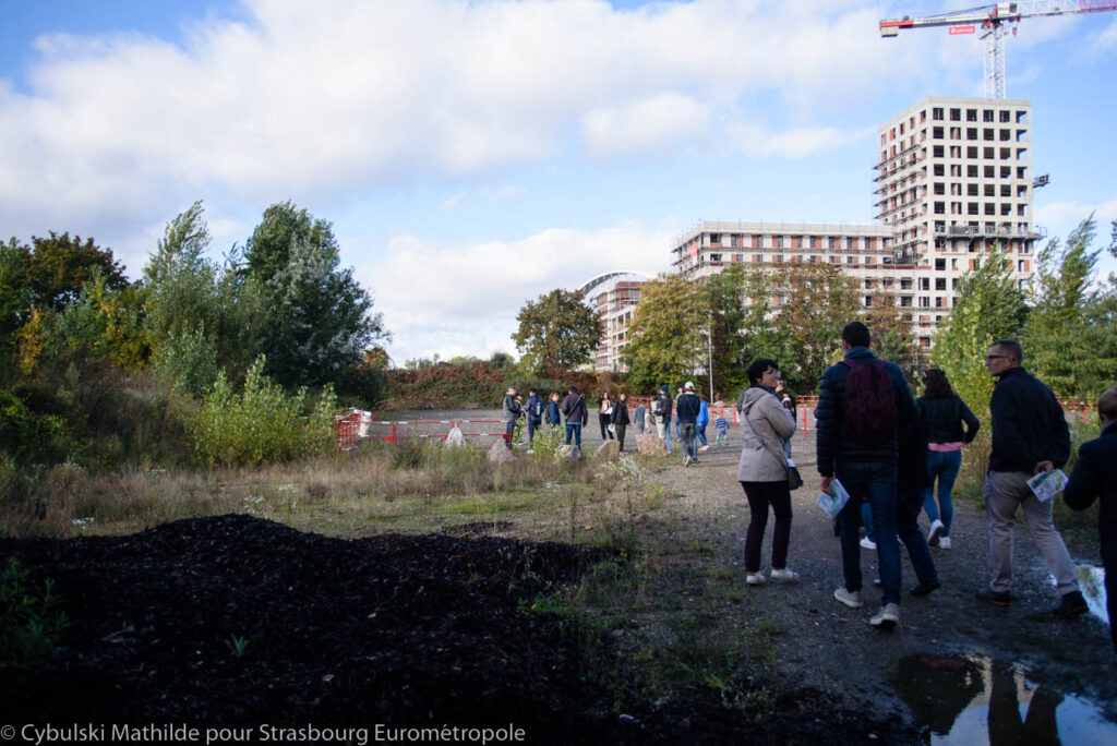 Ballade prospective avec les personnes participant à la concertation pour le Parc du Petit Rhin