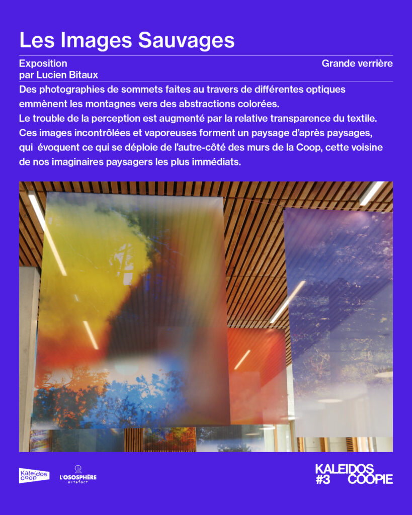 Les Images Sauvages, par Lucien Bitaux, sous la grande verrière.