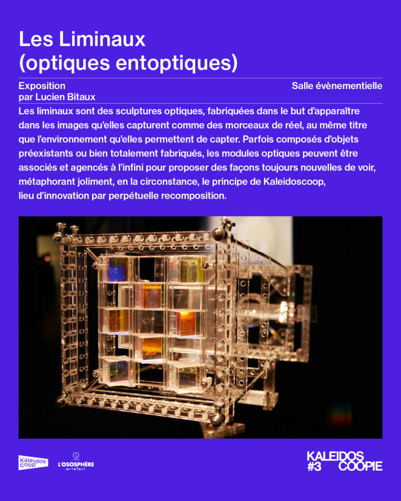 Les Liminaux (optiques entoptiques), par Lucien Bitaux, en salle événementielle de Kaleidoscoop.