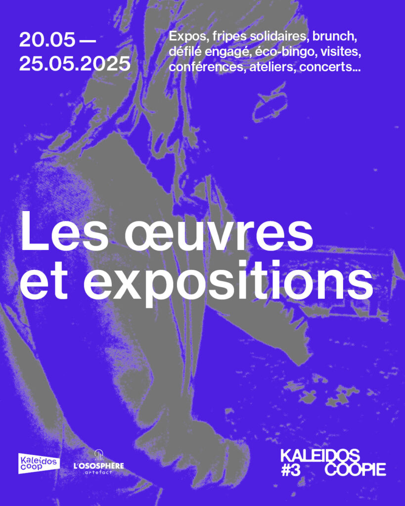 Les œuvres et expositions à l'occasion de Kaleidoscoopie 3