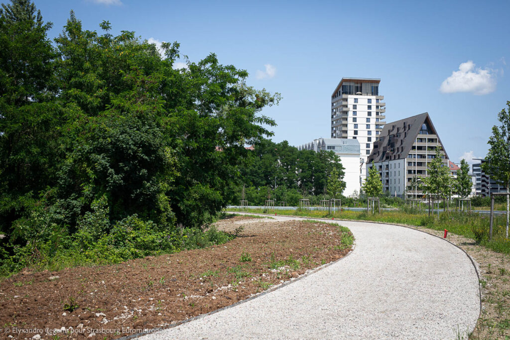 Une piste cyclable permettra de faire le tour du parc. Crédits : Elyxandro Cegarra pour Strasbourg Eurométropole