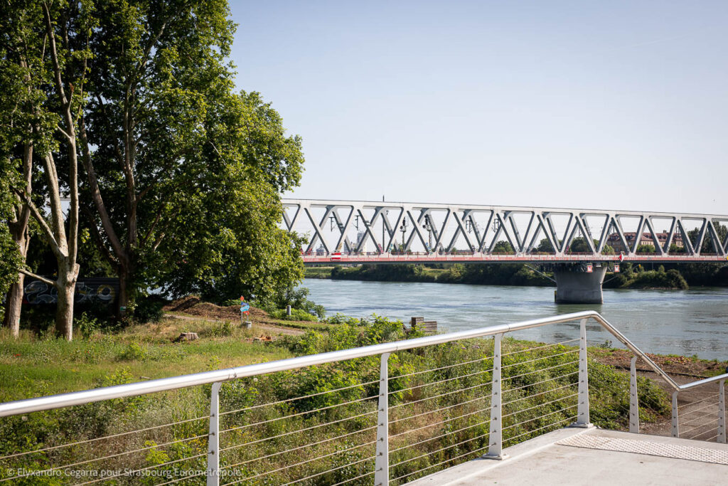 Les aménagements transitoires de la Promenade du Rhin d'ici son aménagement. Crédits : Elyxandro Cegarra pour Strasbourg Eurométropole