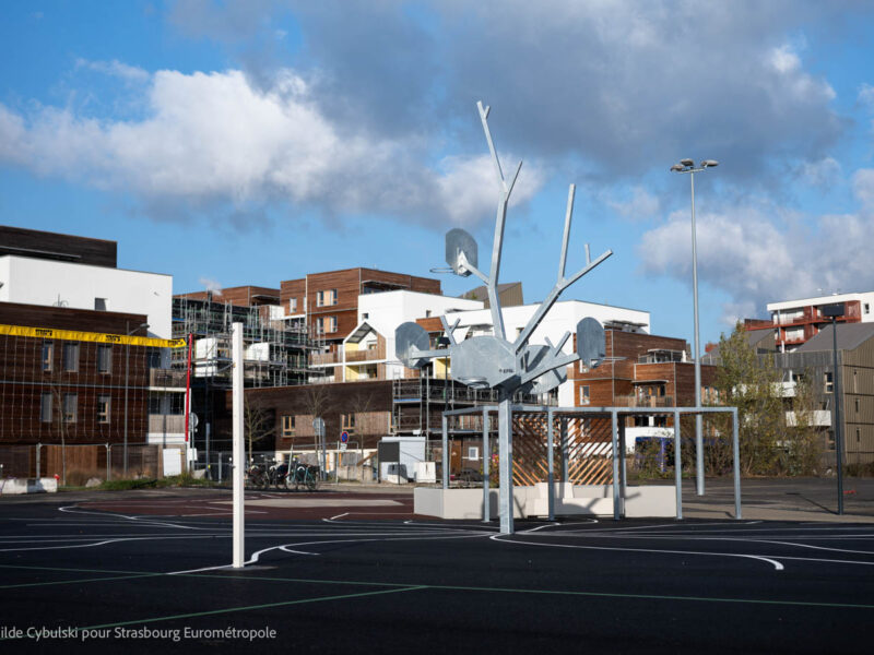 L'arbre à paniers de basket de la plaine des sports avec les bâtiments du quartier du port du rhin en fond
