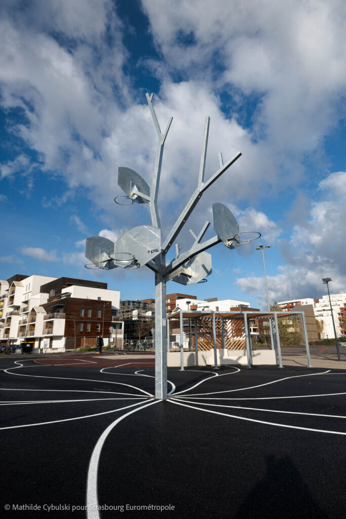L'arbre à panier de basket de la plaine Amélie Le Gall. Crédits : Mathilde Cybulski pour Strasbourg Eurométropole