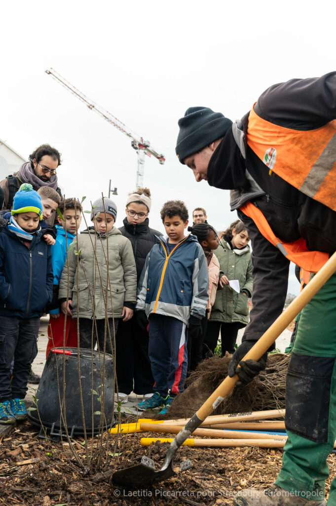 Les enfants de l'école du Rhin en train de planter des arbustes dans le parc du Petit Rhin - Crédits Photo Laetitia Piccarreta pour la Ville et Eurométropole de Strasbourg