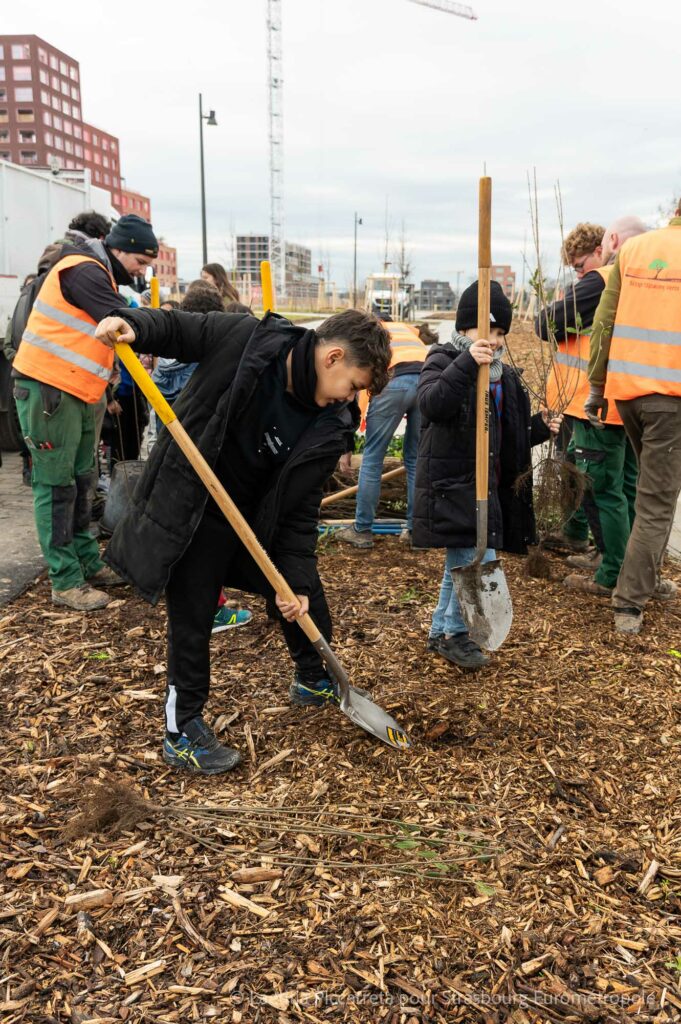 Les enfants de l'école du Rhin en train de planter des arbustes dans le parc du Petit Rhin - Crédits Photo Laetitia Piccarreta pour la Ville et Eurométropole de Strasbourg