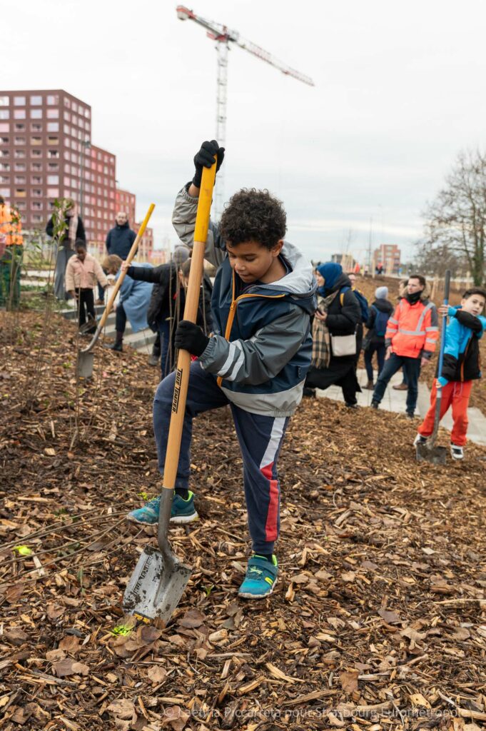 Un enfant de l'école du Rhin en train de planter un arbuste