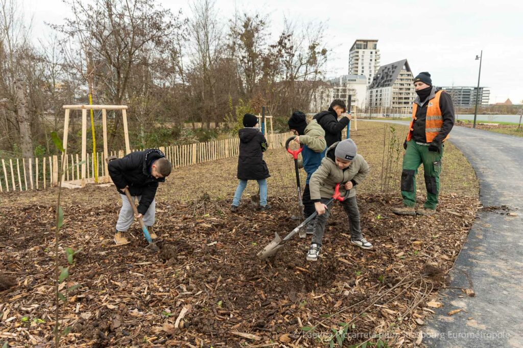 Les enfants de l'école du Rhin en train de planter des arbustes, on voit le parc du petit rhin et le quartier coop en fond