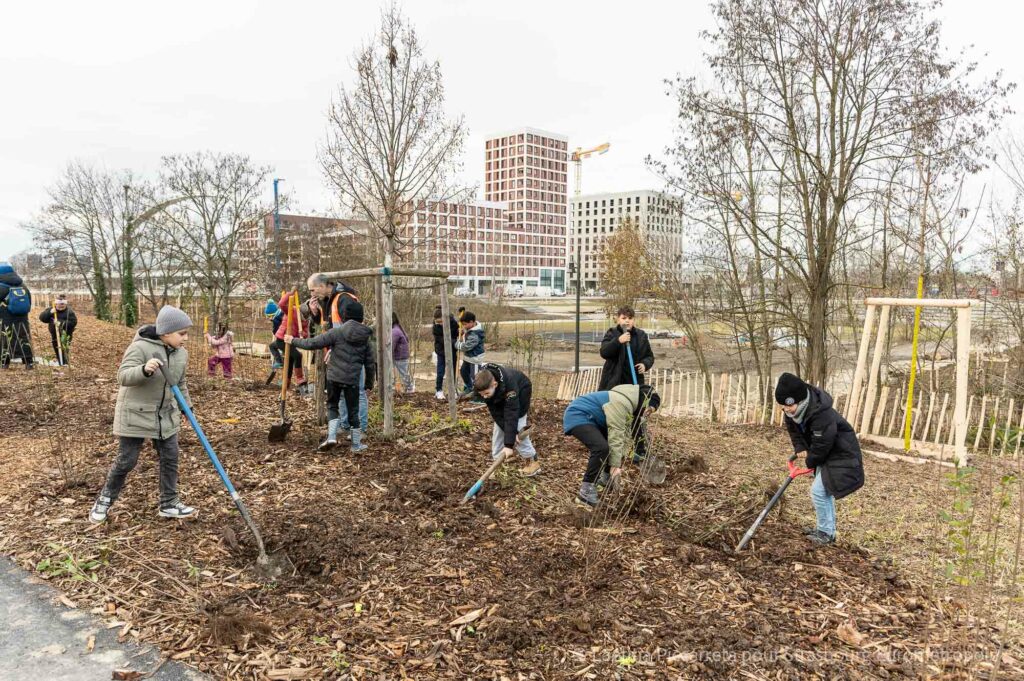Les enfants de l'école du Rhin en train de planter des arbustes, on voit le parc du petit rhin et le quartier starlette en fond
