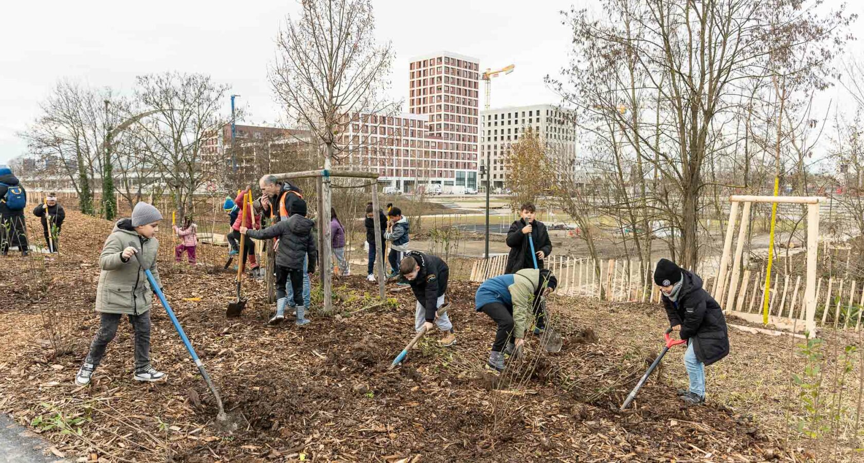Les enfants de l'école du Rhin en train de planter des arbustes, on voit le parc du petit rhin et le quartier starlette en fond