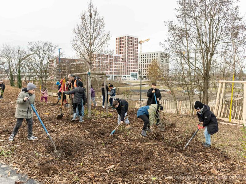 Les enfants de l'école du Rhin en train de planter des arbustes, on voit le parc du petit rhin et le quartier starlette en fond