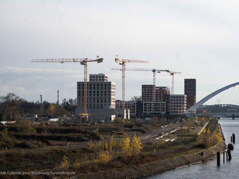 4 grues au bord de l'eau sur le quartier Starlette