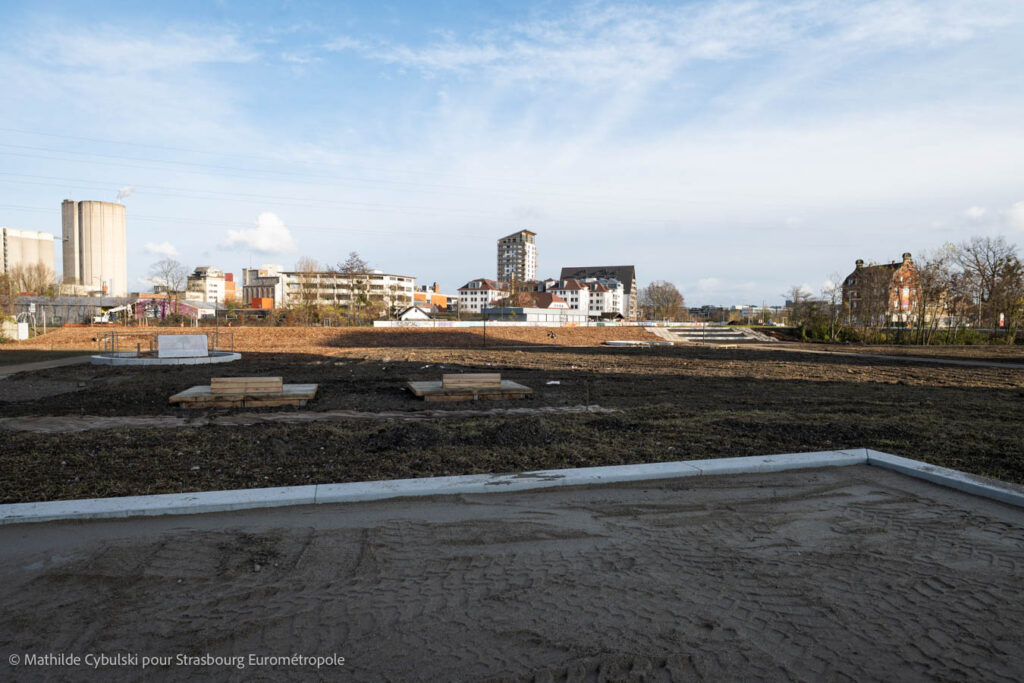 Le nord du parc du Petit Rhin. Crédits : Mathilde Cybulski pour Strasbourg Eurométropole