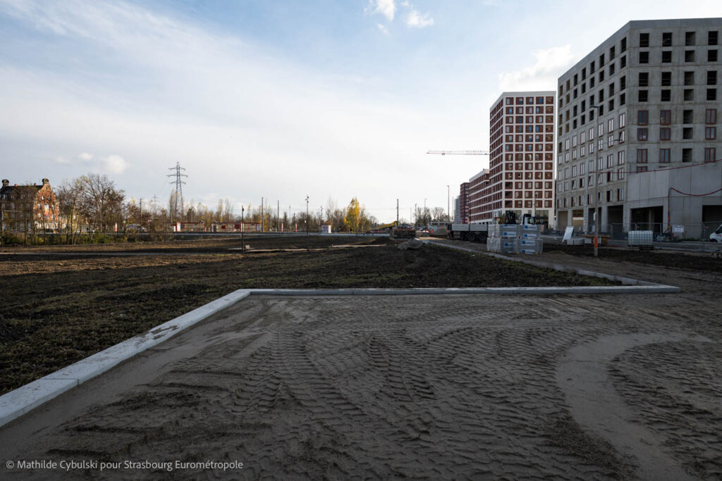 La partie nord du parc du Petit Rhin vue depuis la route éponyme. Crédits : Mathilde Cybulski pour Strasbourg Eurométropole