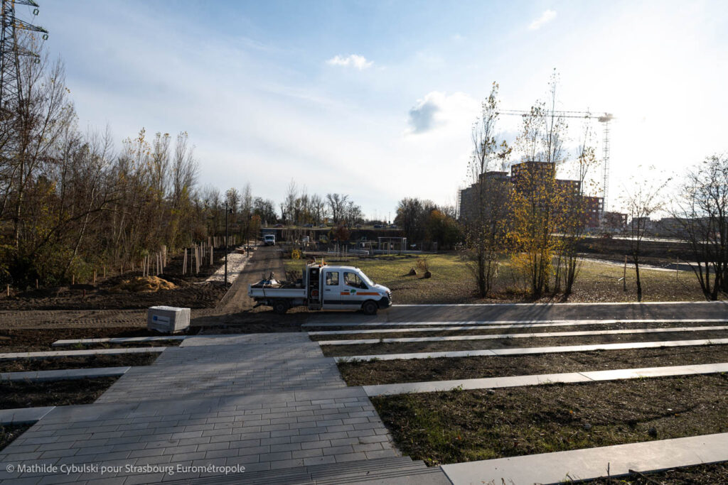 Les restanques du sud du parc du Petit Rhin. Crédits : Mathilde Cybulski pour Strasbourg Eurométropole