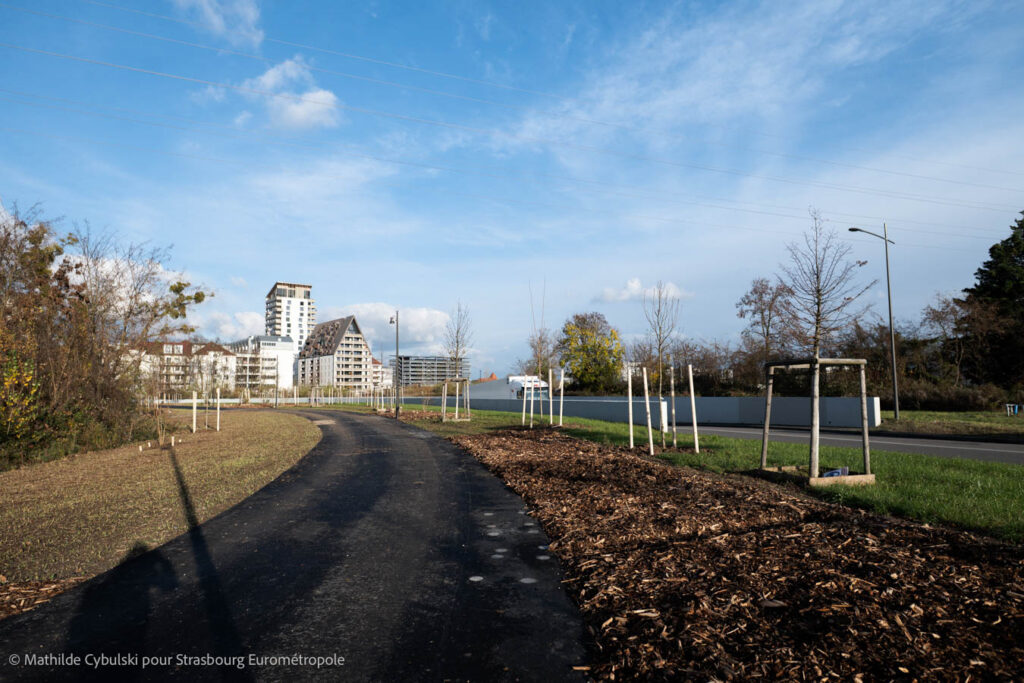 La piste cyclable du sud du parc du Petit Rhin. Crédits : Mathilde Cybulski pour Strasbourg Eurométropole 