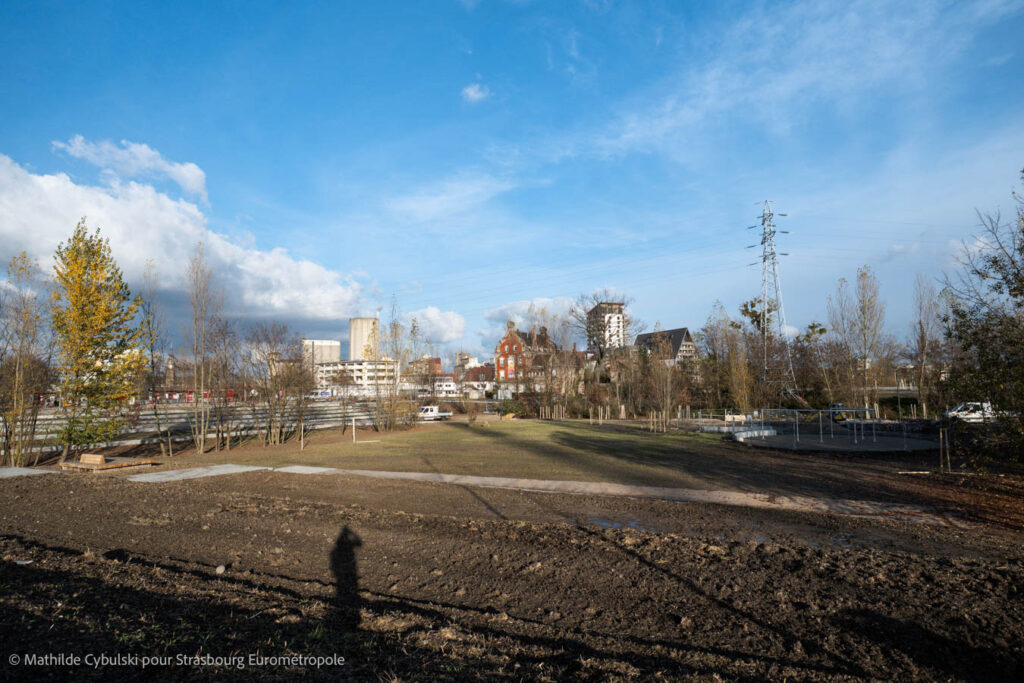 Le sud du parc du Petit Rhin. Crédits : Mathilde Cybulski pour Strasbourg Eurométropole