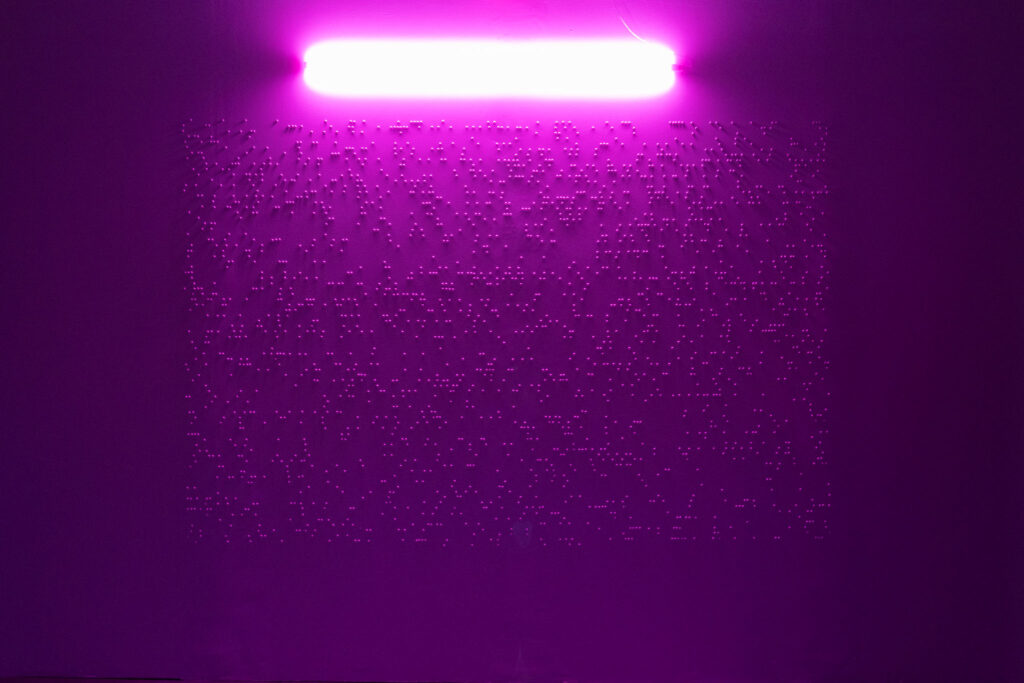 Un néon fushia éclaire un mur : une installation de Celia Laengle dans le cadre de la Regionale 26 à Garage Coop.