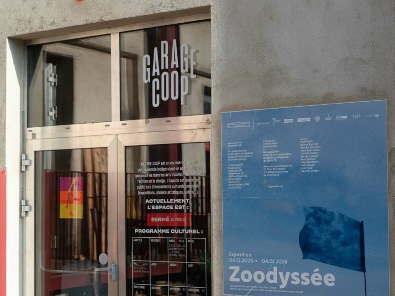 La porte de l'exposition Zoodyssée de la Regionale 26 à Garage Coop : on voit une porte vitrée et une affiche représentant un drapeau devant l'océan