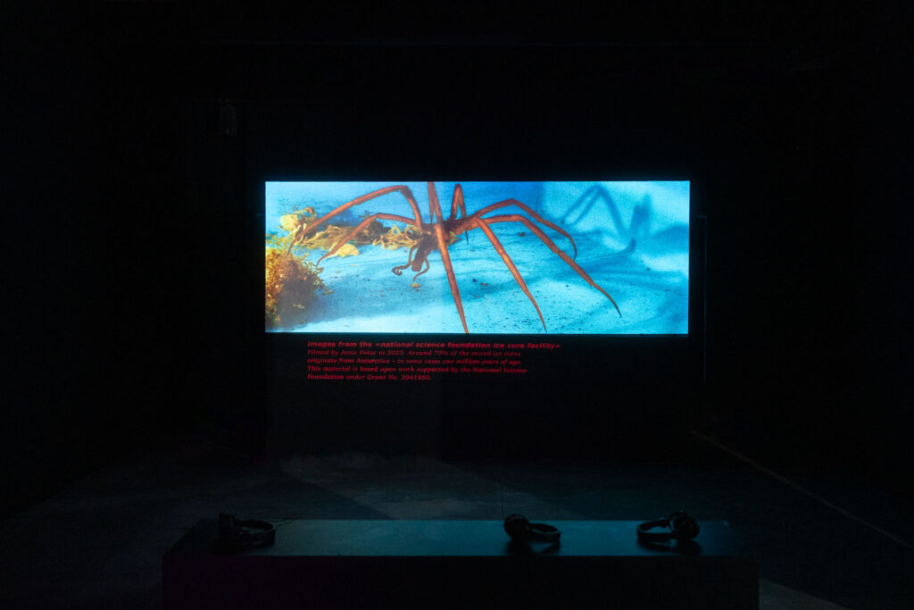 Une installation de Janis Polar dans le cadre de la Regionale 26 à Garage Coop : on voit une image d'araignée projetée sur un écran