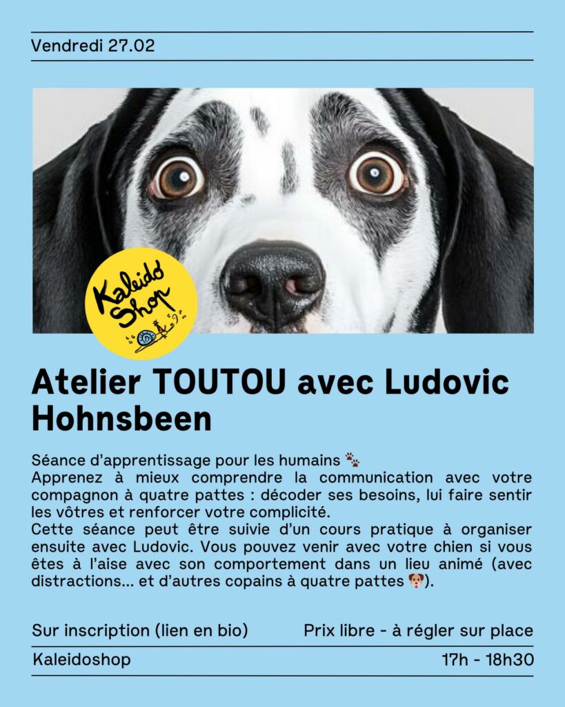 Les ateliers de Kaleidoshop