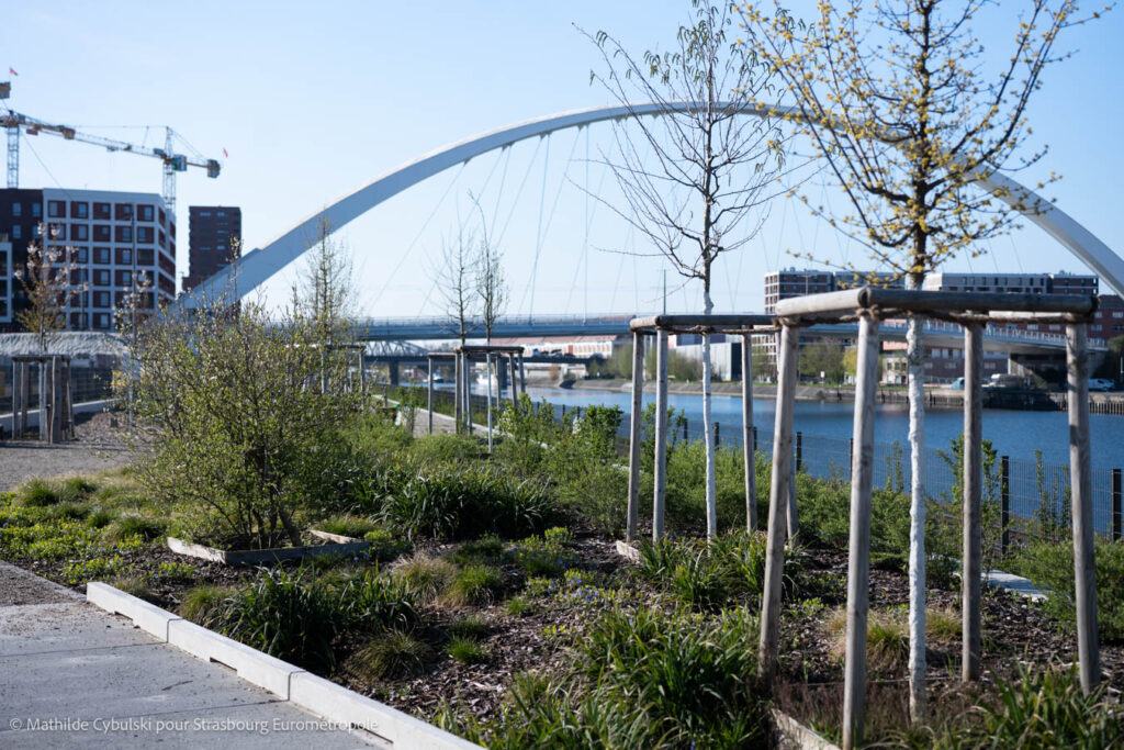 La promenade Starlette-nord. Crédits : Mathilde Cybulski pour Strasbourg Eurométropole