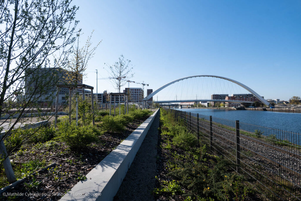 Les haies plantées le long de la voie ferrée du quartier Starlette. Crédits : Mathilde Cybulski pour Strasbourg Eurométropole
