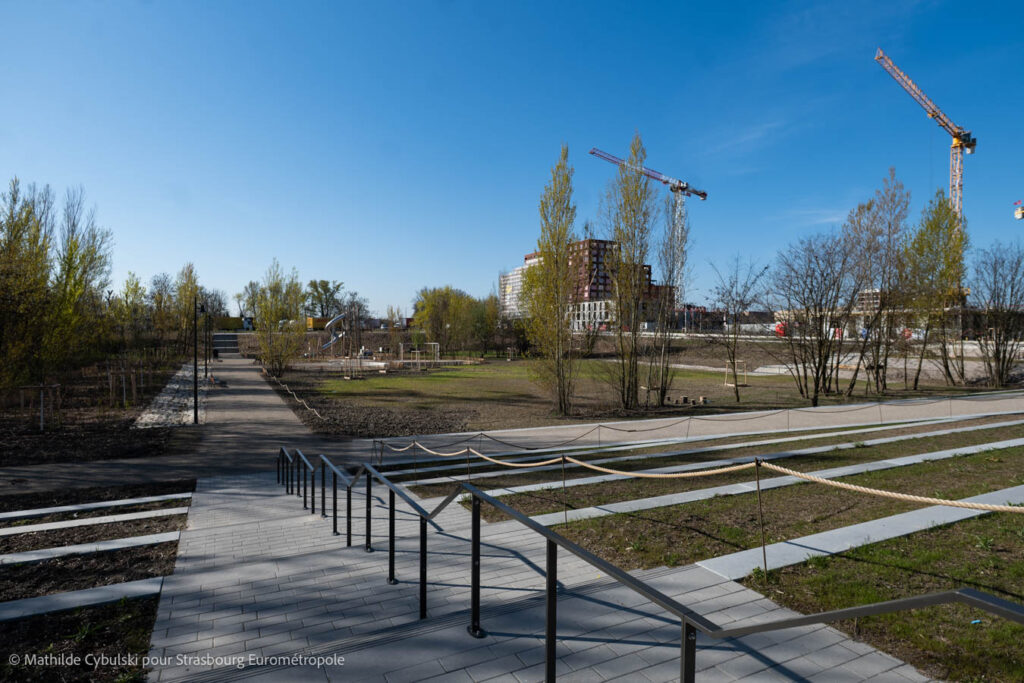 Vue sur le sud du parc du Petit Rhin depuis l'arrêt de tramway Starcoop. Crédits : Mathilde Cybulski pour Strasbourg Eurométropole
