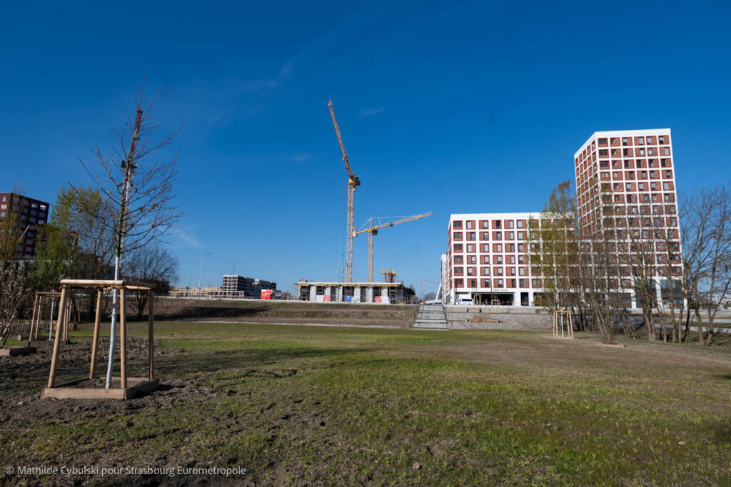 Le parc du Petit Rhin. Crédits : Mathilde Cybulski pour Strasbourg Eurométropole