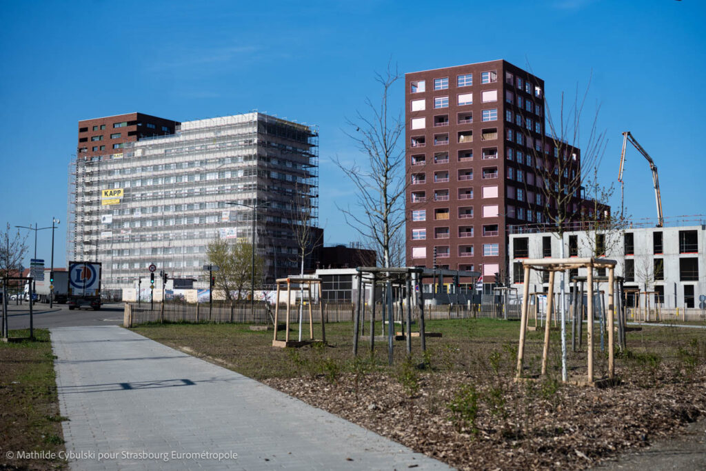 Les programmes Quai Starlette et Viva Starlette vus depuis le sud du parc du Petit Rhin. Crédits : Mathilde Cybulski pour Strasbourg Eurométropole
