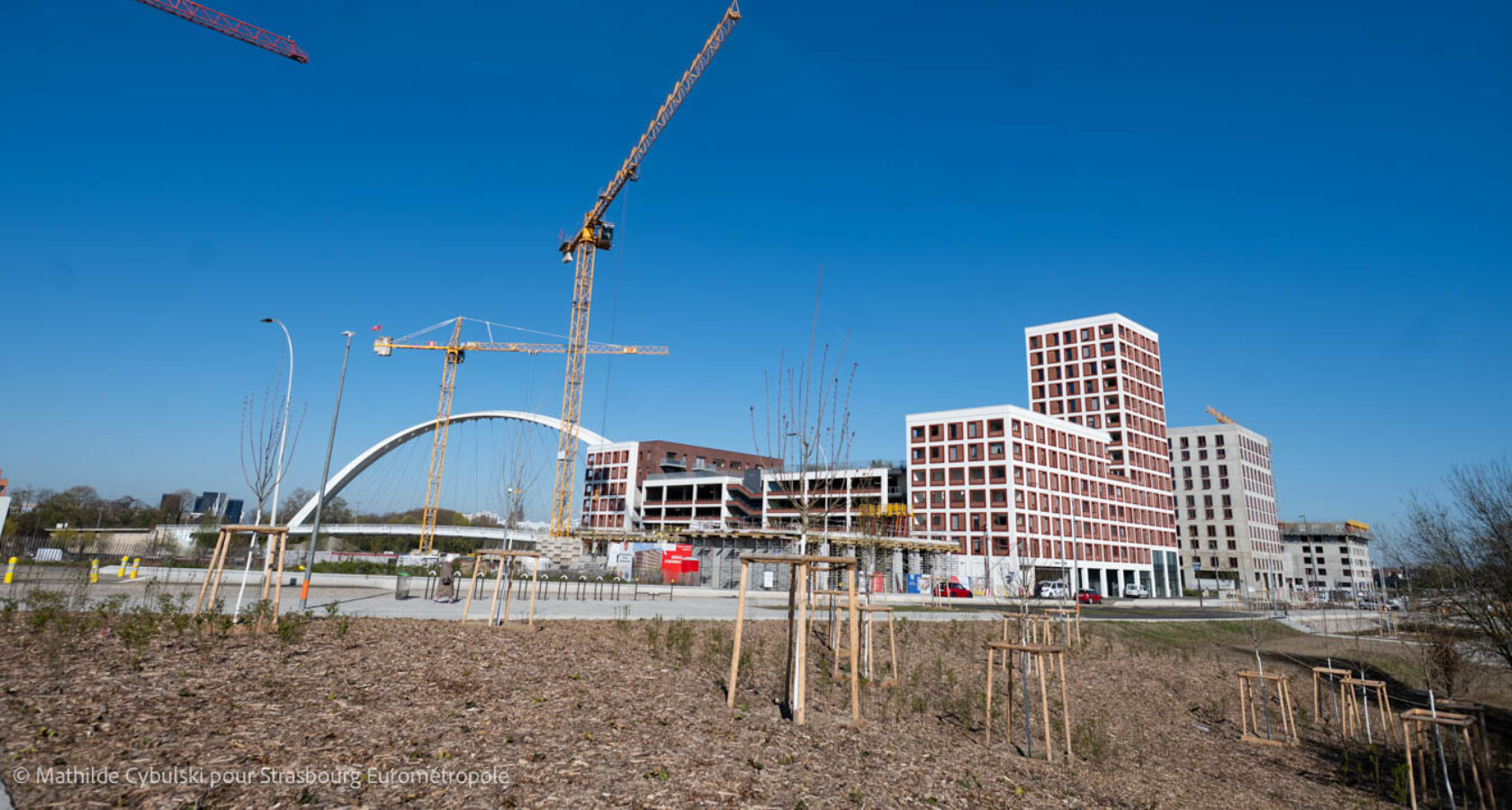 Espace vert en premier plan, 3 grues, et l'opération Starlette Petit Rhin en second plan et l'arche du pont andré bord en arrière plan