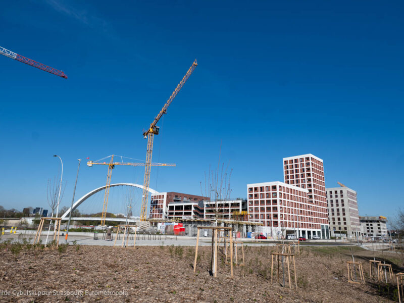 Espace vert en premier plan, 3 grues, et l'opération Starlette Petit Rhin en second plan et l'arche du pont andré bord en arrière plan
