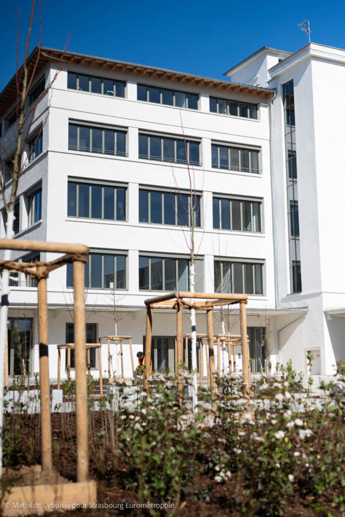 Les plantations de la place des Ouvrières de la Coopé. Crédits : Mathilde Cybulski pour Strasbourg Eurométropole